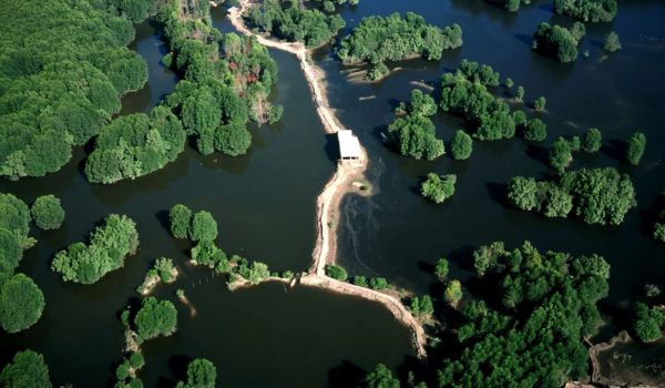 Die Mangroven von Cân Gio (auch Sac Forest) bieten wunderschöne Landschaften