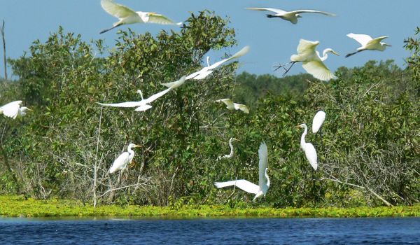 Das Küsten- und Meeresbiosphärenreservat Kien Giang beherbergt reiche, vielfältige und einzigartige Landschaften und Ökosysteme