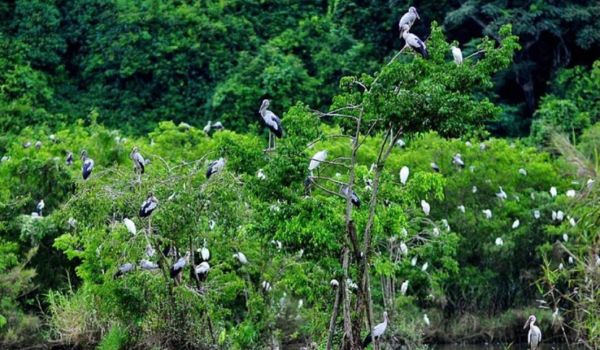 Cuc Phuomng ​​​​Nationalpark