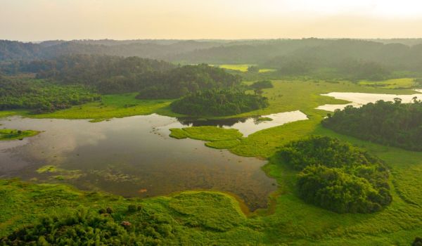 Cat-Tien-Nationalpark